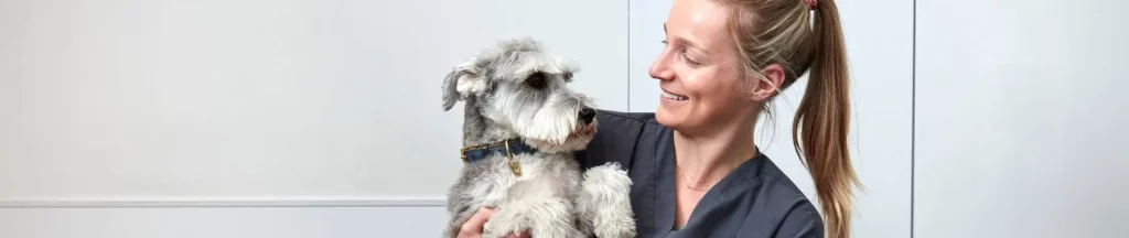 Kennel-cough-blog