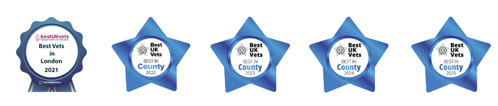 Best-UK-Vets-SHVS-Website-Asset-2025