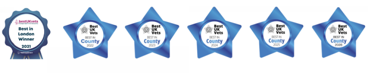 Streatham-Hill-Vets-Awards Streatham-Hill-Vets-Awards